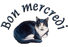 Gif animé Bon mercredi chat